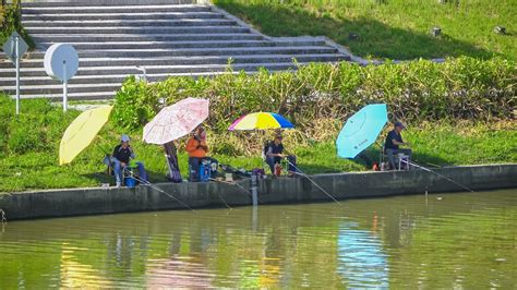 Jadi Tontonan Pemancing Saat Mancing Di Sungai Dapat Ikan Nila Besar