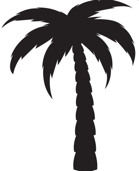 Silhouette Of A Palm Tree