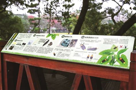 台北画刊106年4月第591期—水泥丛林再现点点光芒 打造疗癒城市 寻觅萤火虫的足迹 台北旅游网