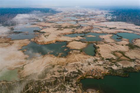 Per Asesinan De Dos Balazos A Defensor Ambiental En Madre De Dios