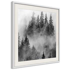 Artgeist Poster Affisch Black Forest Poster X A Drbprp X Br