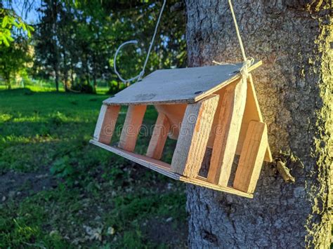 Birdhouse Hanging On A Tree In The Summer Season Stock Photo Image