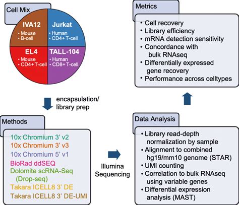 Overview Of High Throughput Single Cell Benchmarking Experiments