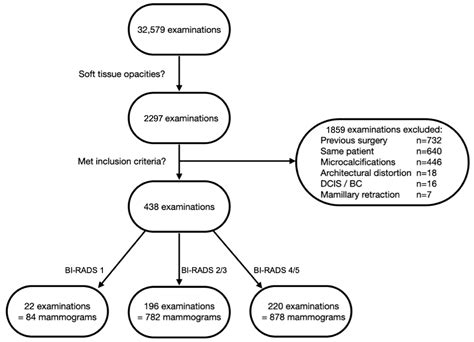 Diagnostics Free Full Text Bi Rads Based Classification Of