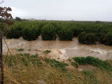 Esondazione Fiume Crati A Corigliano Interviene Confagricoltura Cosenza