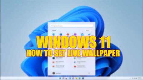 Windows 11: How to set Live wallpaper (2023)