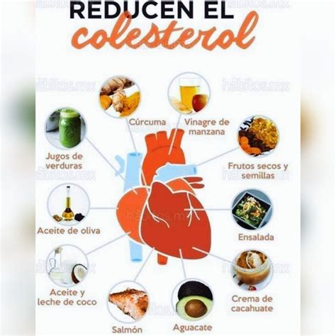 Alimentos Que Reducen El Colesterol