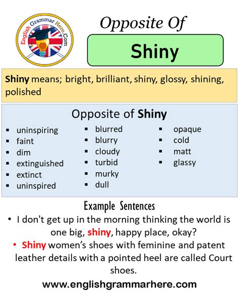 Opposite Of Shiny, Antonyms of Shiny, Meaning and Example Sentences - English Grammar Here