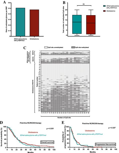 Survival And Extent Of Mgmt Promotor Methylation In Glioblastoma And