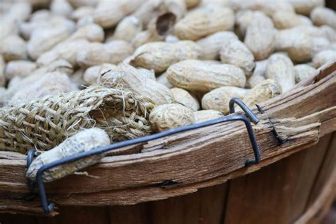 The Benefits Of Peanuts Improved Sexual Health In Women And More