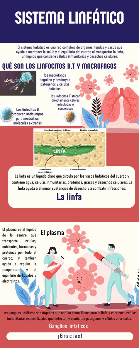 Infografía Cómo Mejorar el Sistema Inmune Virus Salud Informativo Rojo