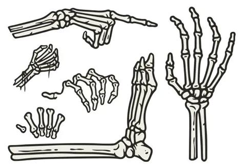 Skeleton Hands Royalty Free Stock Svg Vector And Clip Art