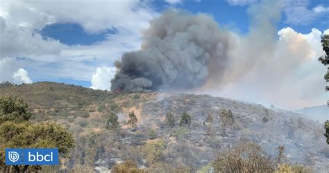 M S De Hect Reas Consumidas Y Evacuados Por Incendio Forestal En