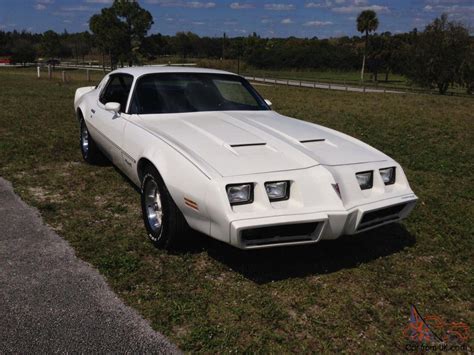 1981 Pontiac Firebird Formula All Original Untouched Garage Find Rust Free