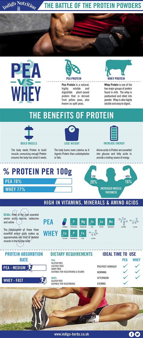 Pea Protein Vs Whey Renew Physical Therapy