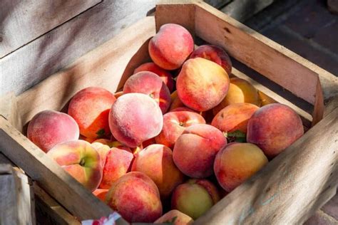 Livraison de corbeilles de fruits au bureau Plaisirs Fruités