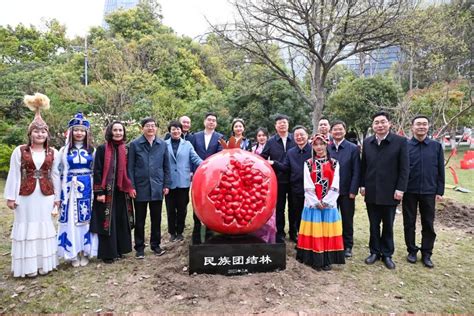 “浙里石榴红 同心享亚运”系列活动启动仪式暨落植民族团结石榴林活动成功举办 浙江新远文化产业集团