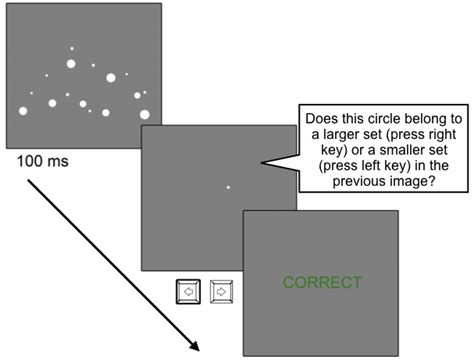 An Example Trial Of Experiment 1 Download Scientific Diagram