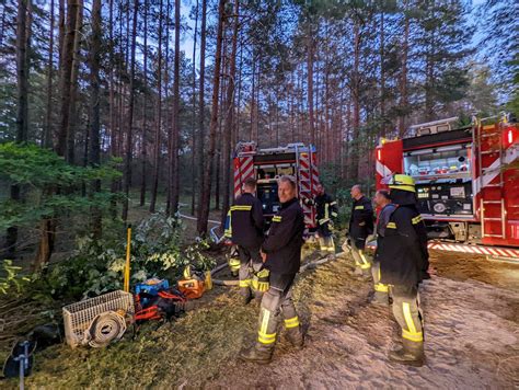 Erlangen Waldbrand im Tennenloher Forst hält Feuerwehr bis nachts in