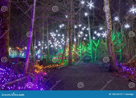 Christmas Lights Decoration Along Lafarge Lake Path Stock Image - Image ...