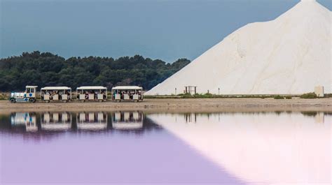 Aigues Mortes Le Petit Train Des Salins Vous Transporte Dans Un Univers