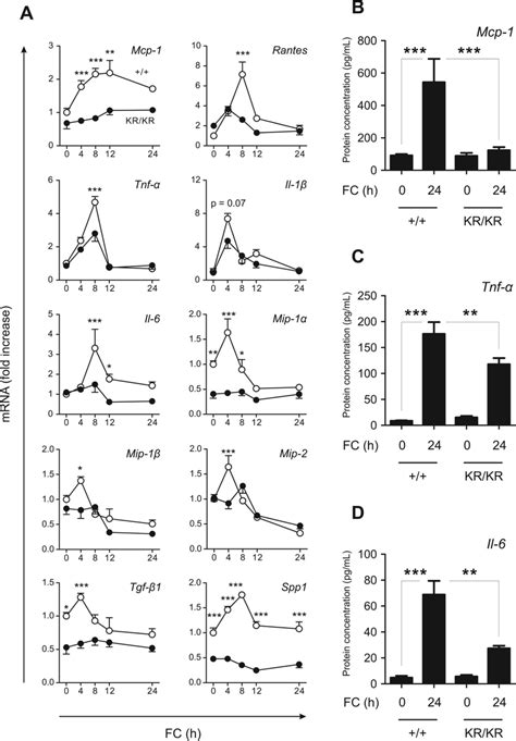 Fc And Insulininduced Akt And Gsk3β Phosphorylation In Macrophages Download Scientific