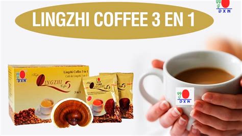 Ganoderma Kaffee Reishi Kaffee Dxn Deutschland Sterreich Schweiz