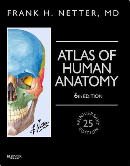 Atlas Of Human Anatomy 6th Edition Pdf Netter Iers