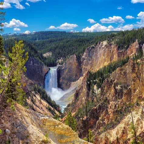 Best Time To Visit Yellowstone National Park Hot Sex Picture