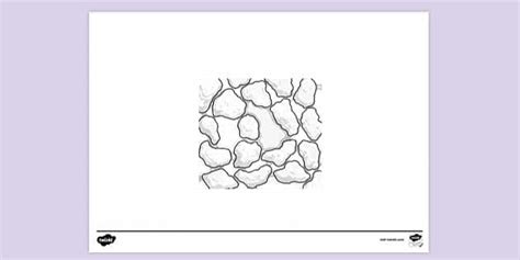 Soil Diagram Colouring Colouring Sheets Teacher Made