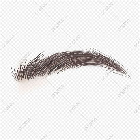 The Top View Of An Eye Lashes With Long Black Hair On Transparent