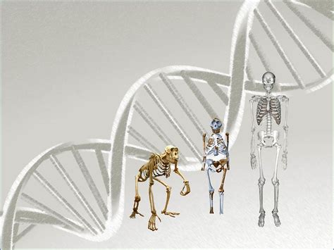 What Does It Mean to Be Human? – The Seattle Star