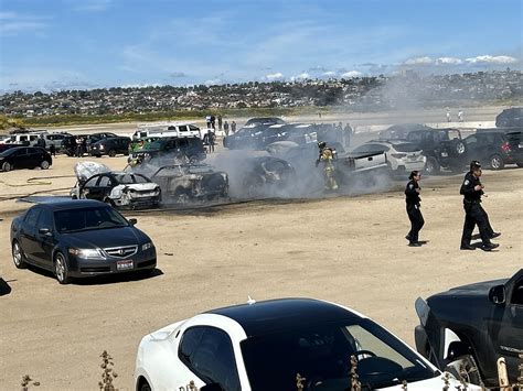 Fiesta Island Weeny Dog Roast : r/sandiego