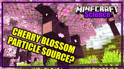 Where Do Cherry Blossom Particle Effects Come From Minecraft Science