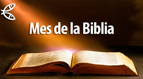 Septiembre Mes De La Biblia Arzobispado De Rosario