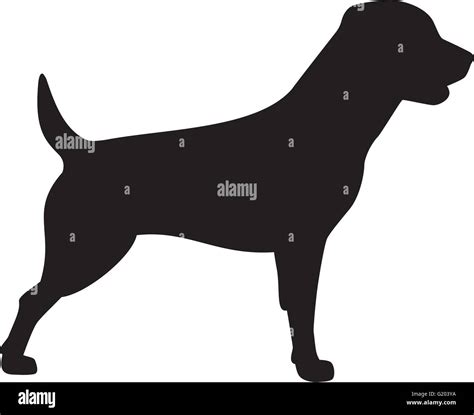 Rottweiler Dog Icon Stock Vector Image And Art Alamy