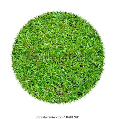 Abstract Green Grass Texture Background Circle Stock Photo 1409847485