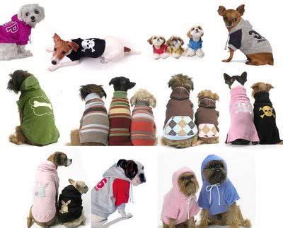 Roupas Para Cachorro Comprar Modelos