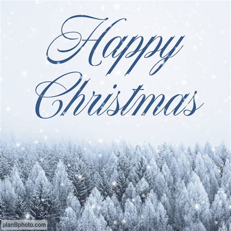 Merry Christmas Wishes 2023 Beautiful Animated Images