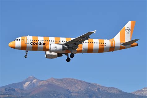 A Mixed Bag: The Condor Fleet In 2023