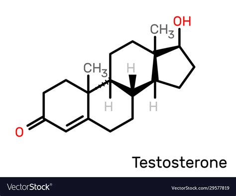 Testosterone Structural Formula Stock Vector Leonid Andronov Hot Sex