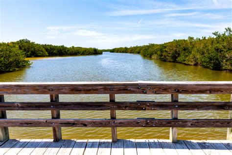 340 Disappearing Island Florida Stock Photos Pictures And Royalty Free