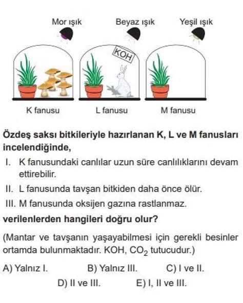 S N F Biyoloji Test Fotosentez Ve Kemosentez Test Z Dersyap
