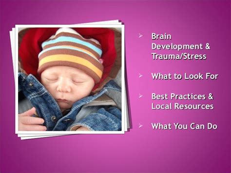 Early Childhood Trauma and Brain Development