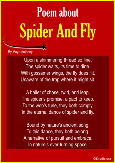 15 Best Short Poems About Spider EngDic