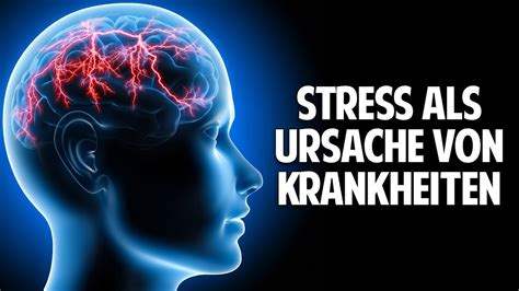 Stress als Ursache von Krankheiten und Auswirkungen im Körper Dr