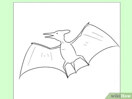 How to Draw a Pterodactyl: 6 Steps (with Pictures) - wikiHow