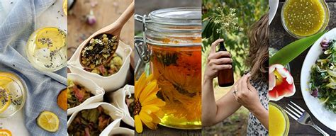 Our Top Ten Herbal Recipes of 2019