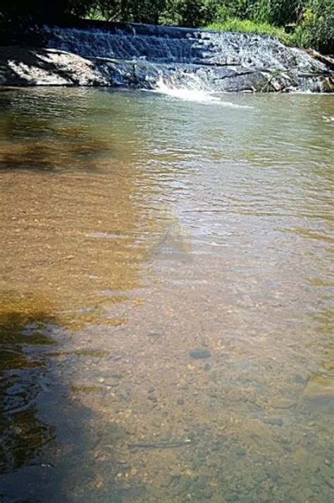 Fazenda S Tio M Em Piedade Do Paraopeba Em Brumadinho Por R