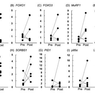 Relative Expression Level Of The Skeletal Muscle Genes Involved In